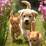 ヴィラ 3 Climatisees Proche Avec Jardin Clos *